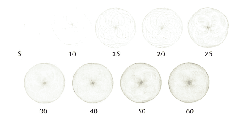 A series of drawings showing the different stages of drawing.